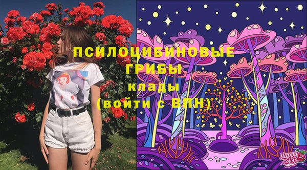 MESCALINE Заволжье