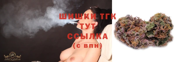 экстази Ельня