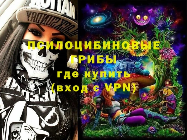 экстази Ельня
