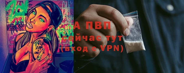 экстази Ельня