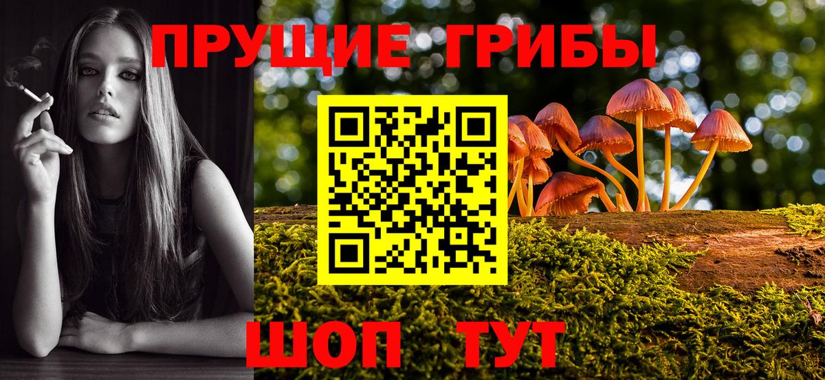 Галлюциногенные грибы GOLDEN TEACHER  купить наркотик  Бузулук  Вход с VPN 